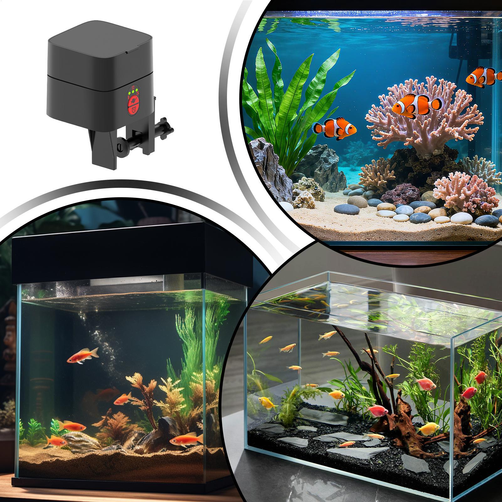 Auto Fish Feeder For Aquarium  - Fishing Line Dispenser recension och pris